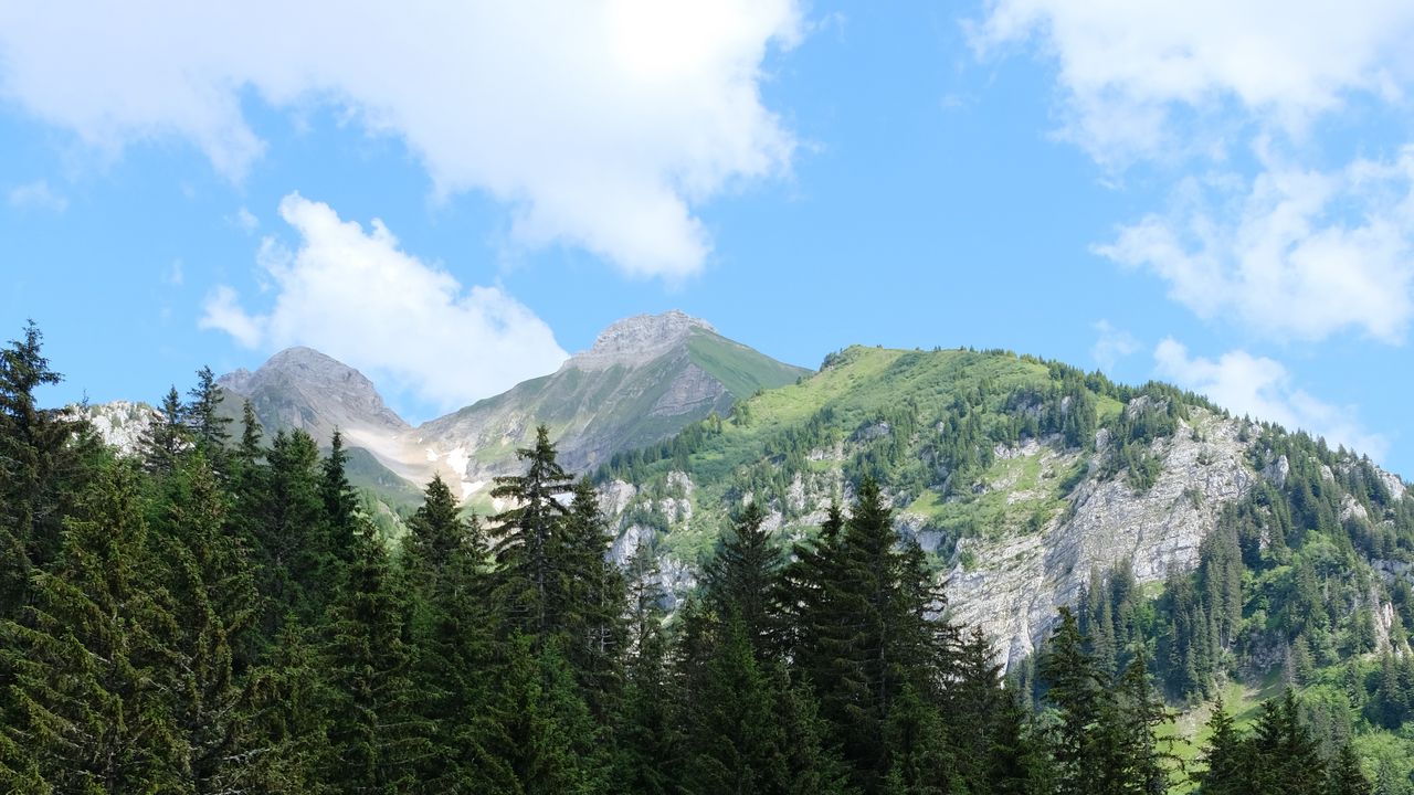 Wallpaper trees, rocks, mountains, clouds, nature