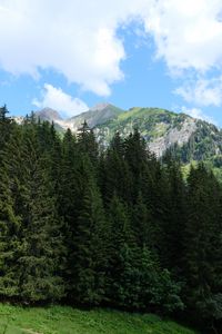 Preview wallpaper trees, rocks, mountains, clouds, nature