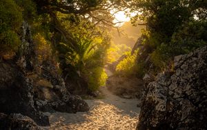 Preview wallpaper trees, rocks, sand, island, sunlight