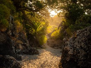 Preview wallpaper trees, rocks, sand, island, sunlight