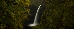 Preview wallpaper trees, rocks, waterfall, forest