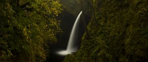 Preview wallpaper trees, rocks, waterfall, forest