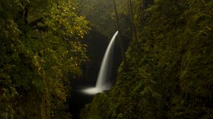 Preview wallpaper trees, rocks, waterfall, forest