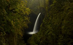 Preview wallpaper trees, rocks, waterfall, forest