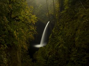 Preview wallpaper trees, rocks, waterfall, forest