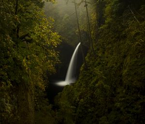 Preview wallpaper trees, rocks, waterfall, forest