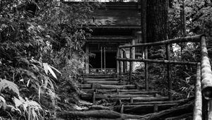 Preview wallpaper trees, roots, steps, house, black and white