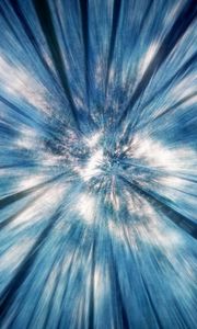 Preview wallpaper trees, rotation, abstraction, light