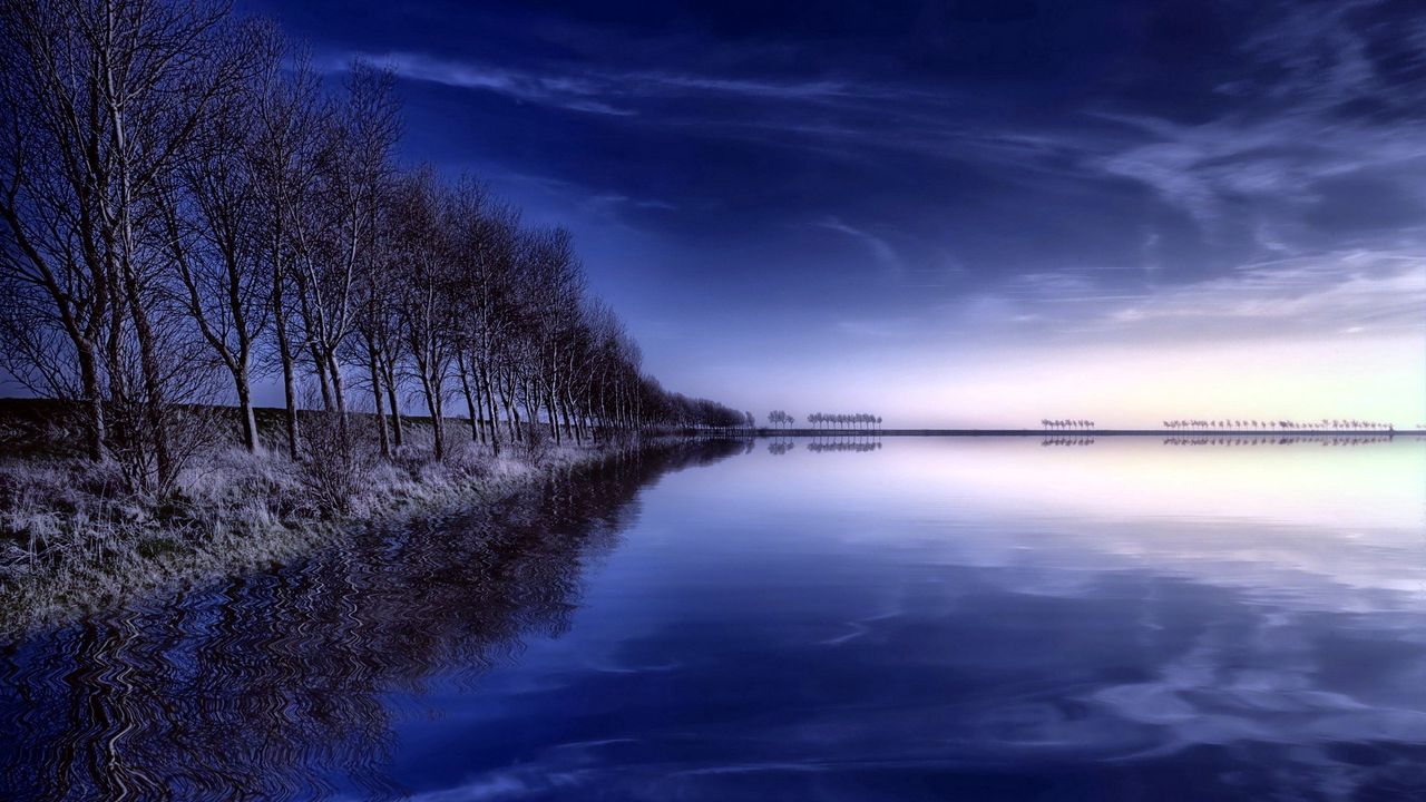 Wallpaper trees, row, lake, reflection, evening, sky