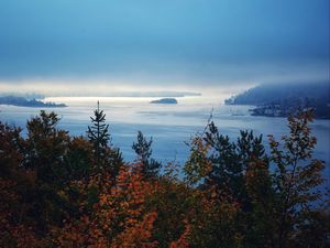 Preview wallpaper trees, sea, fog, landscape