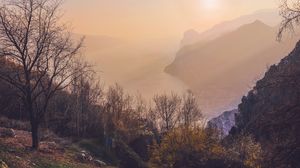 Preview wallpaper trees, sea, mountains, fog