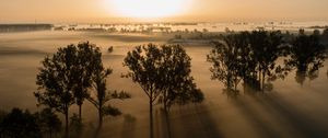 Preview wallpaper trees, shadows, field, landscape