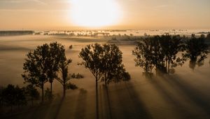 Preview wallpaper trees, shadows, field, landscape