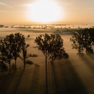 Preview wallpaper trees, shadows, field, landscape