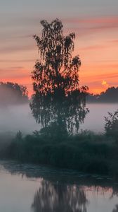 Preview wallpaper trees, shore, river, fog, nature