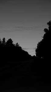 Preview wallpaper trees, silhouette, bw, sky