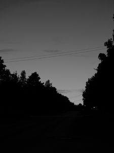 Preview wallpaper trees, silhouette, bw, sky