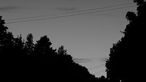 Preview wallpaper trees, silhouette, bw, sky