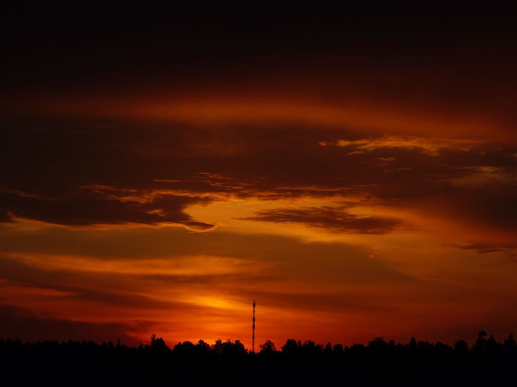 1024x768 Wallpaper trees, silhouette, shadows, clouds, sunset, dark, landscape
