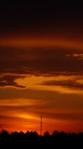 Preview wallpaper trees, silhouette, shadows, clouds, sunset, dark, landscape