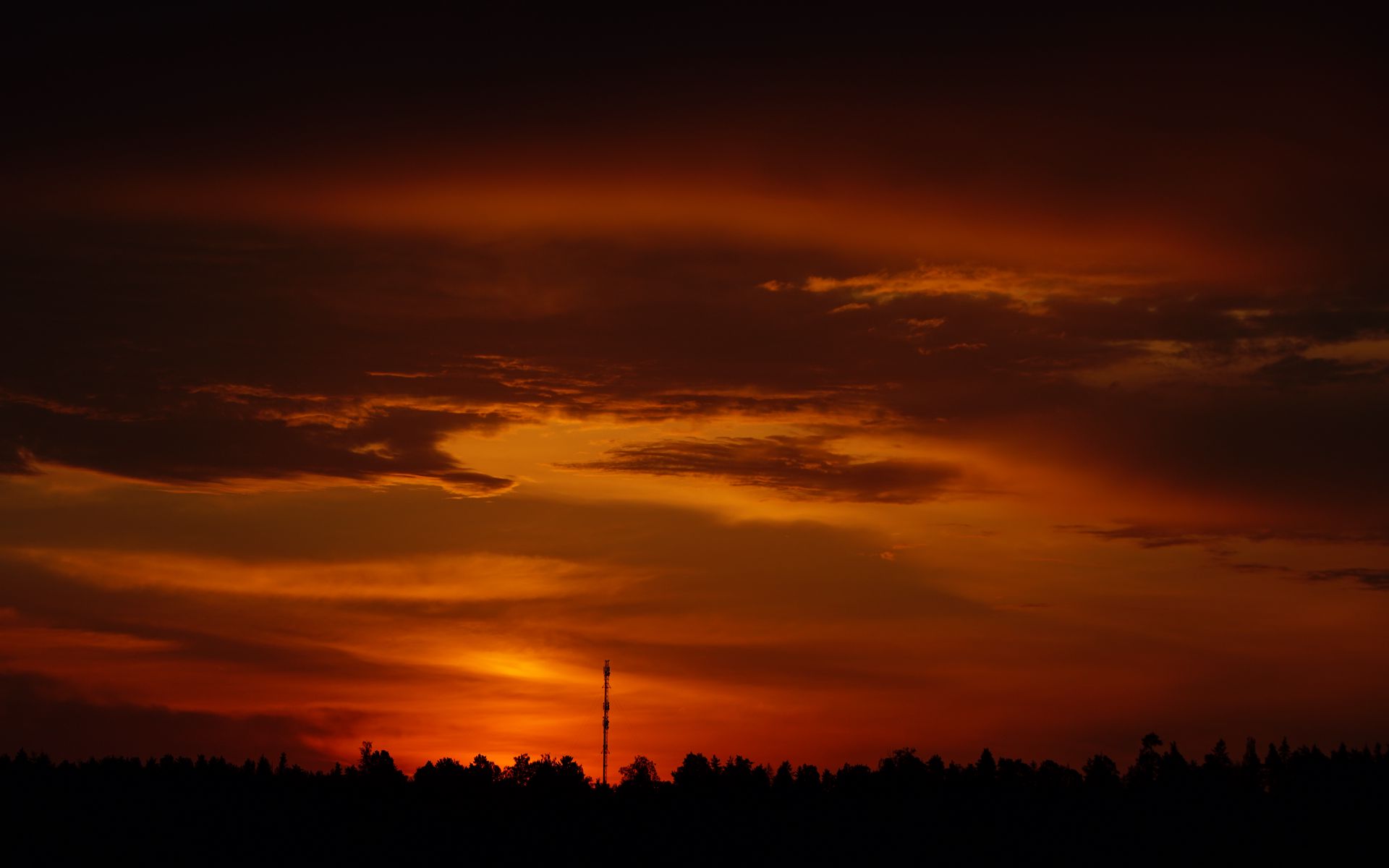 1920x1200 Wallpaper trees, silhouette, shadows, clouds, sunset, dark, landscape