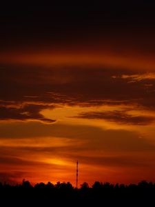 Preview wallpaper trees, silhouette, shadows, clouds, sunset, dark, landscape