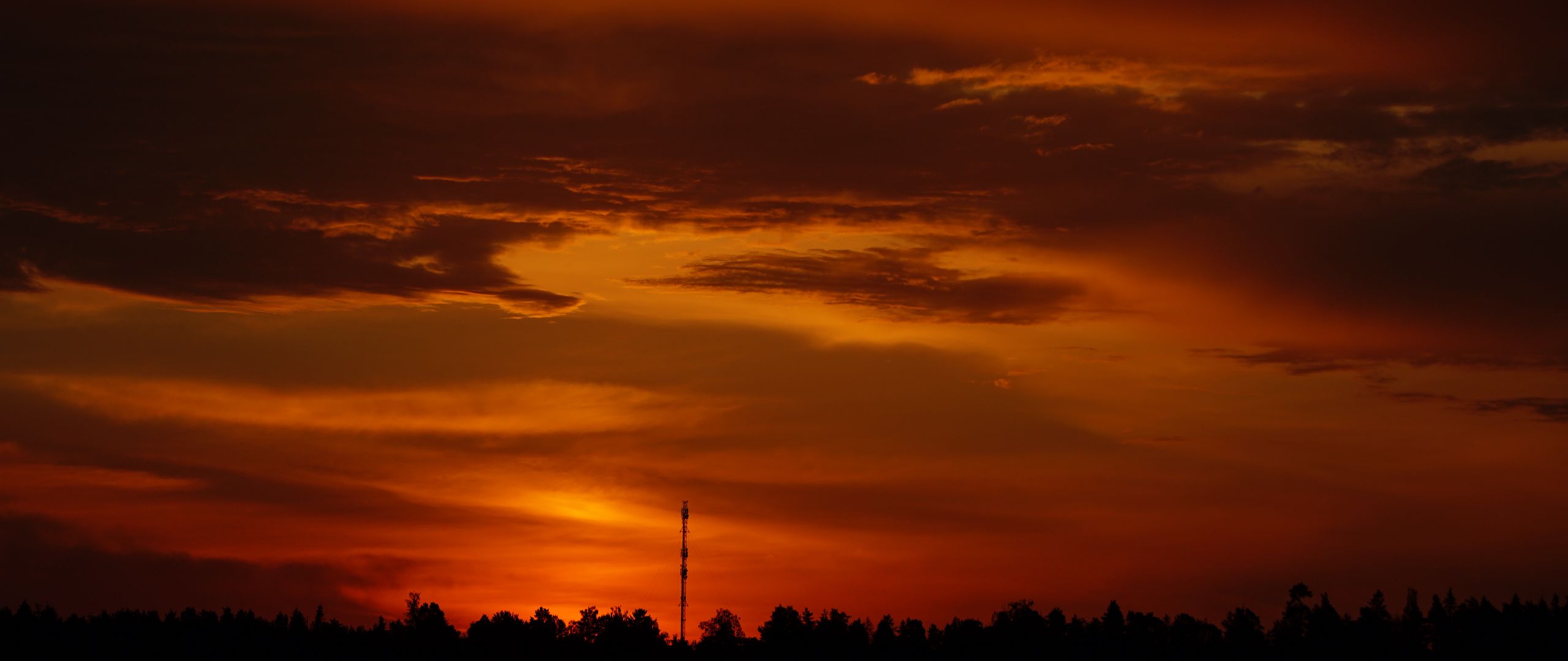 2560x1080 Wallpaper trees, silhouette, shadows, clouds, sunset, dark, landscape