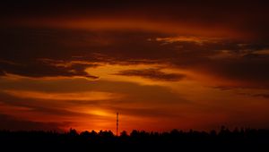 Preview wallpaper trees, silhouette, shadows, clouds, sunset, dark, landscape