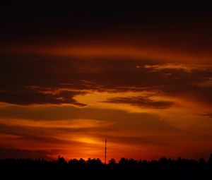 Preview wallpaper trees, silhouette, shadows, clouds, sunset, dark, landscape
