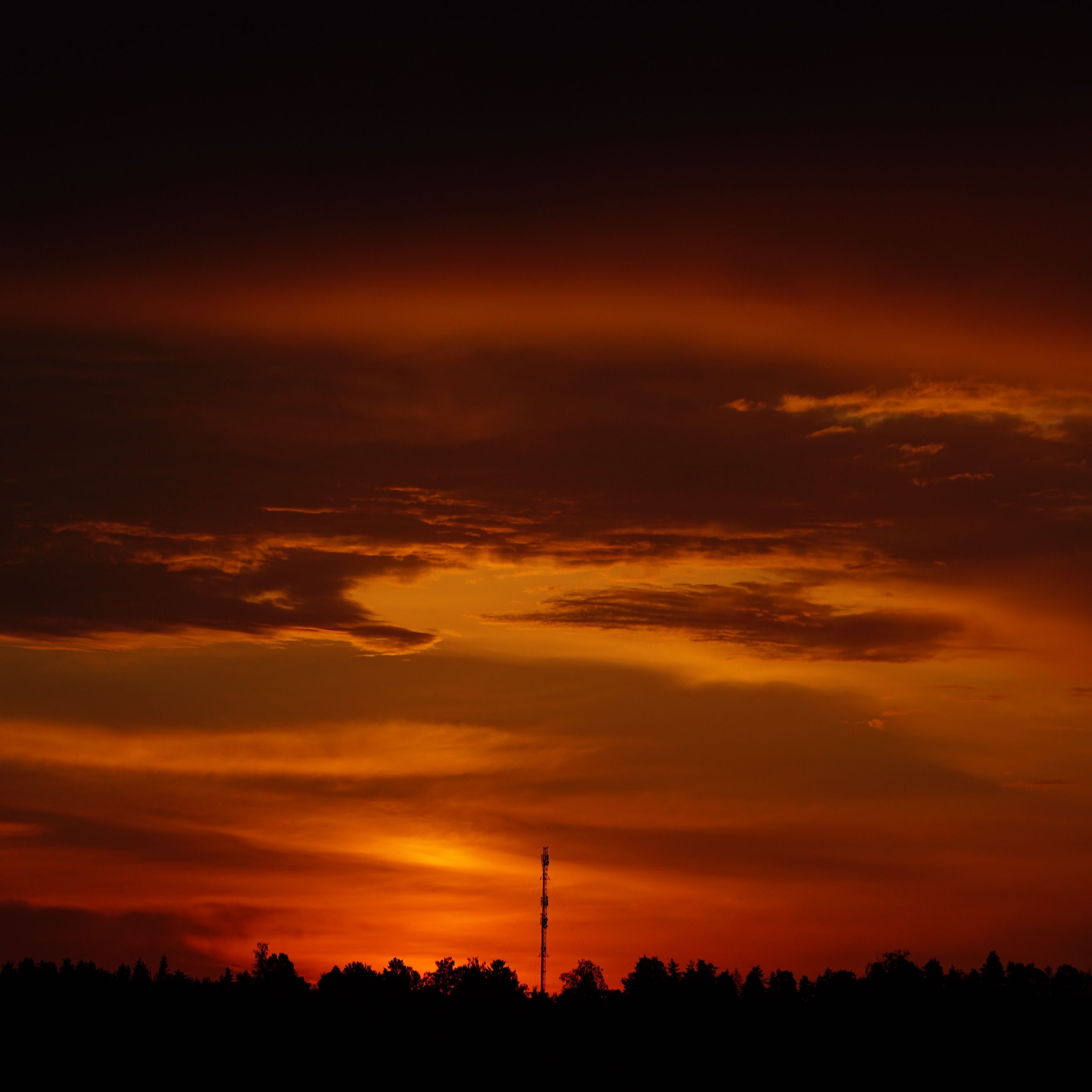 3415x3415 Wallpaper trees, silhouette, shadows, clouds, sunset, dark, landscape