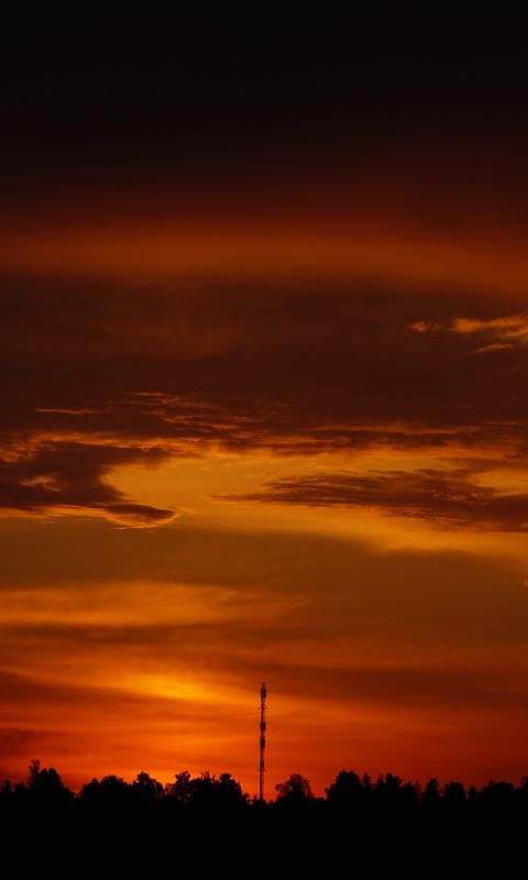 480x800 Wallpaper trees, silhouette, shadows, clouds, sunset, dark, landscape