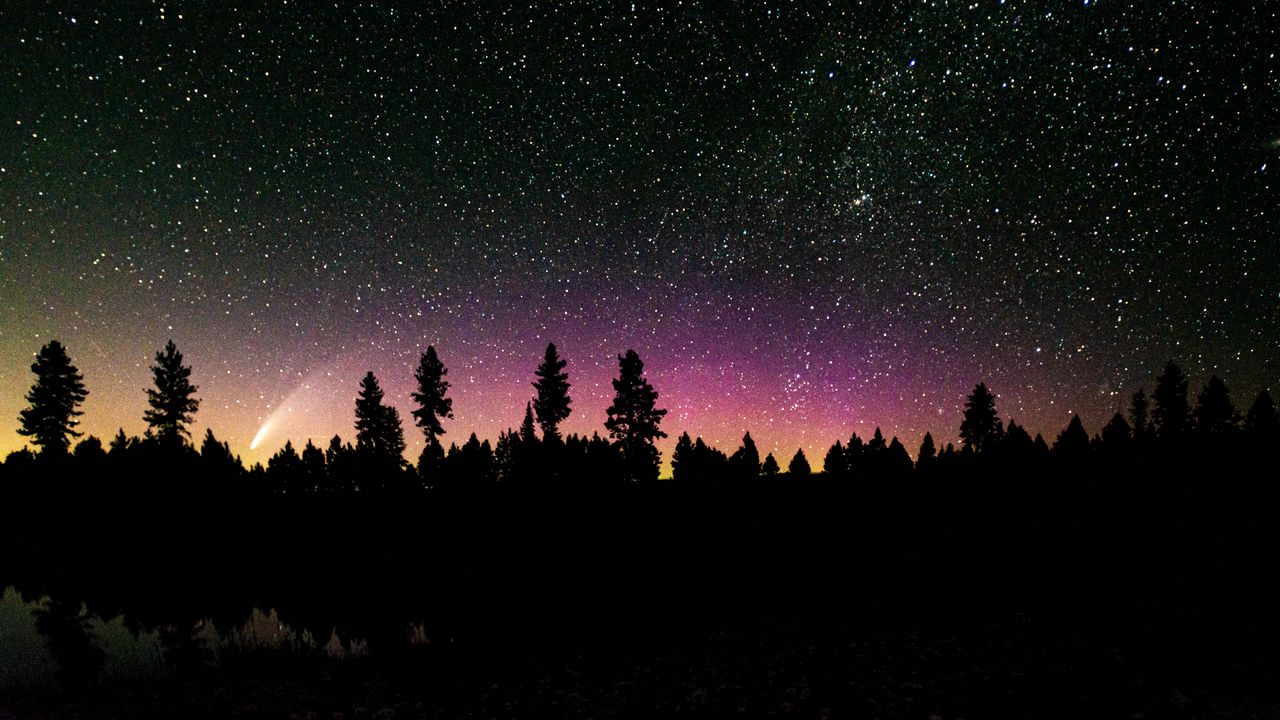 Wallpaper trees, silhouette, starry sky, stars, night