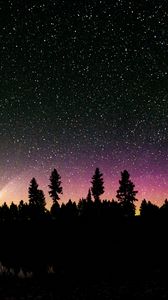 Preview wallpaper trees, silhouette, starry sky, stars, night