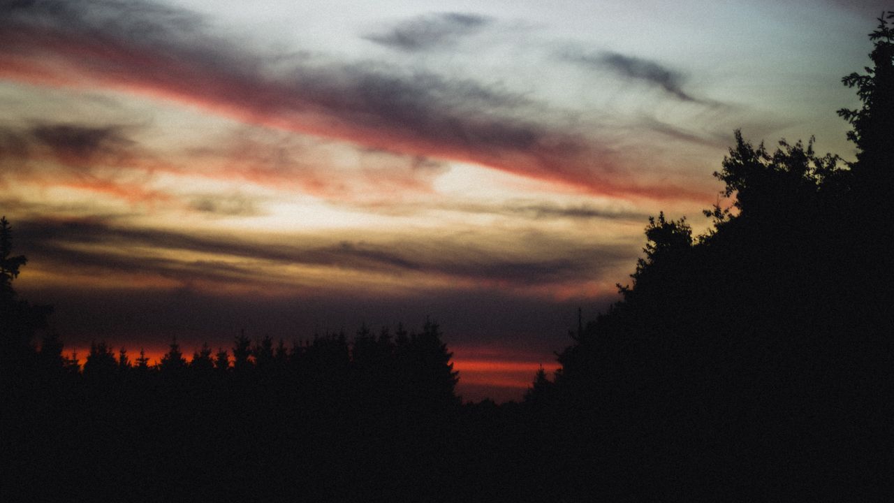 Wallpaper trees, silhouette, sunset, clouds