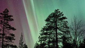 Preview wallpaper trees, silhouettes, branches, northern lights, night