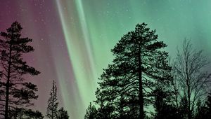 Preview wallpaper trees, silhouettes, branches, northern lights, night