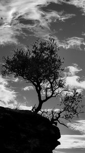 Preview wallpaper trees, silhouettes, cliff, black and white, black