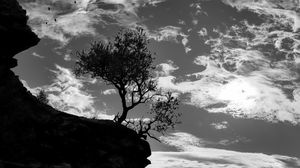 Preview wallpaper trees, silhouettes, cliff, black and white, black
