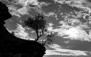 Preview wallpaper trees, silhouettes, cliff, black and white, black