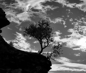 Preview wallpaper trees, silhouettes, cliff, black and white, black