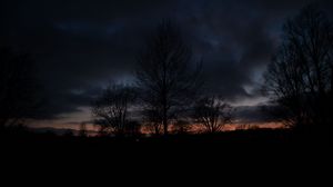 Preview wallpaper trees, silhouettes, clouds, twilight, dark