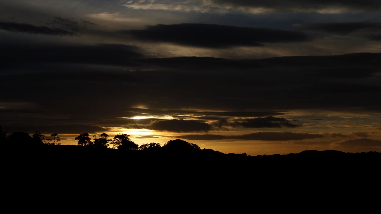 Wallpaper trees, silhouettes, clouds, sky, twilight, dark