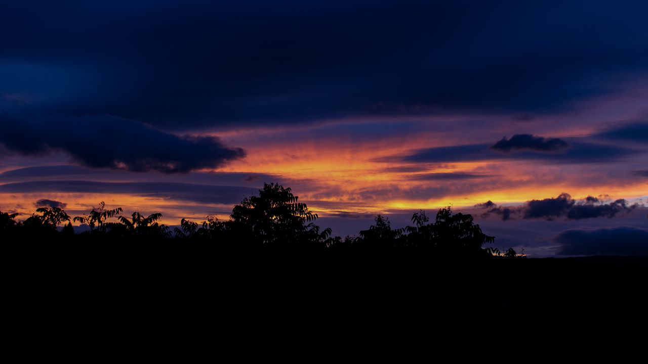 Wallpaper trees, silhouettes, clouds, sky, dark