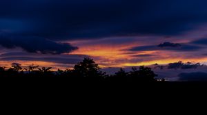 Preview wallpaper trees, silhouettes, clouds, sky, dark
