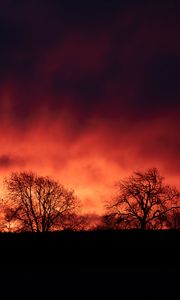 Preview wallpaper trees, silhouettes, dark, evening