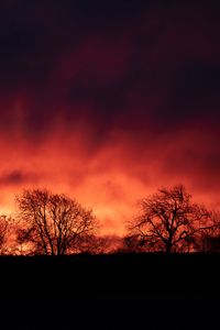 Preview wallpaper trees, silhouettes, dark, evening