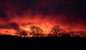 Preview wallpaper trees, silhouettes, dark, evening