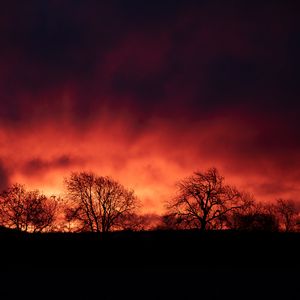 Preview wallpaper trees, silhouettes, dark, evening