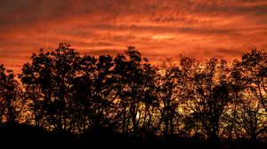 Preview wallpaper trees, silhouettes, dark, sunset