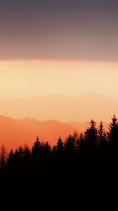 Preview wallpaper trees, silhouettes, fog, sunset, sky, slope